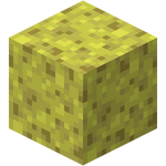 Sponge X64